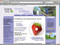 Screenshot ICOCO - individuelle DatentrÃ¤ger